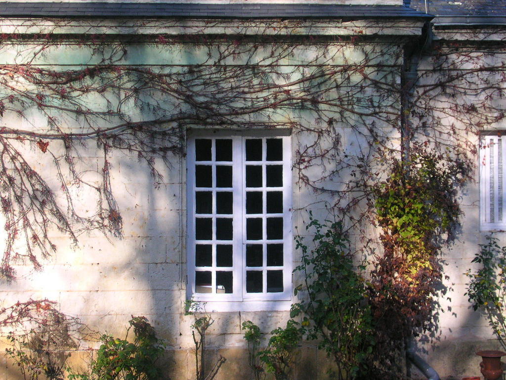 La Mesnagerie Bed & Breakfast Jarzé Eksteriør bilde