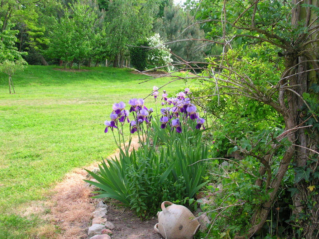 La Mesnagerie Bed & Breakfast Jarzé Rom bilde